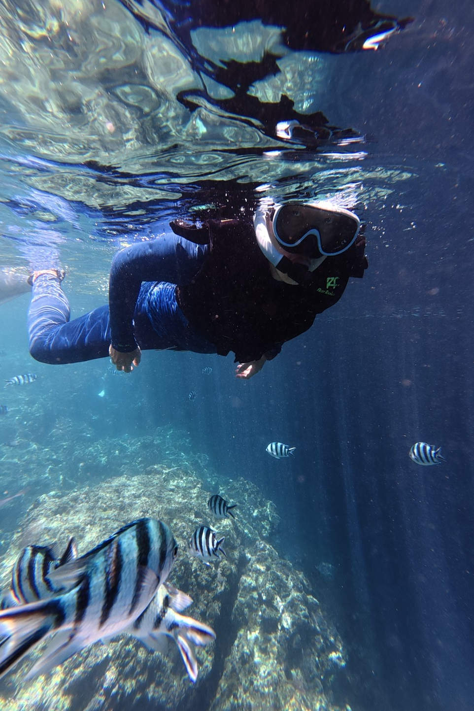 Okinawa Blue Cave Snorkeling & Diving Experience Multilingual ...