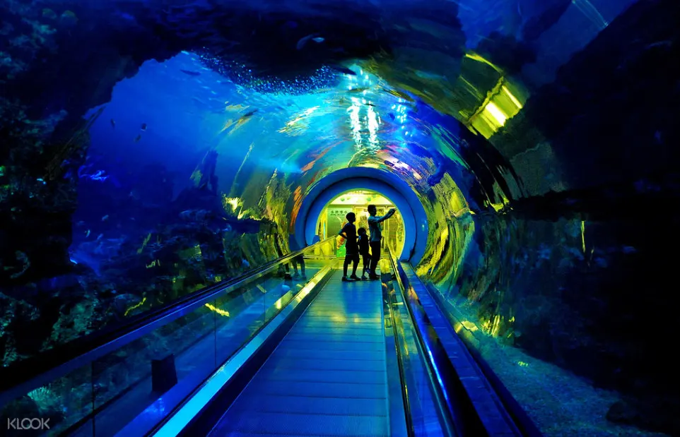 國立海洋生物博物館
