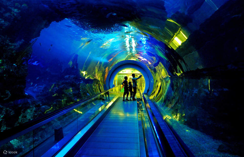 Museo Nacional de Biología Marina y Acuario