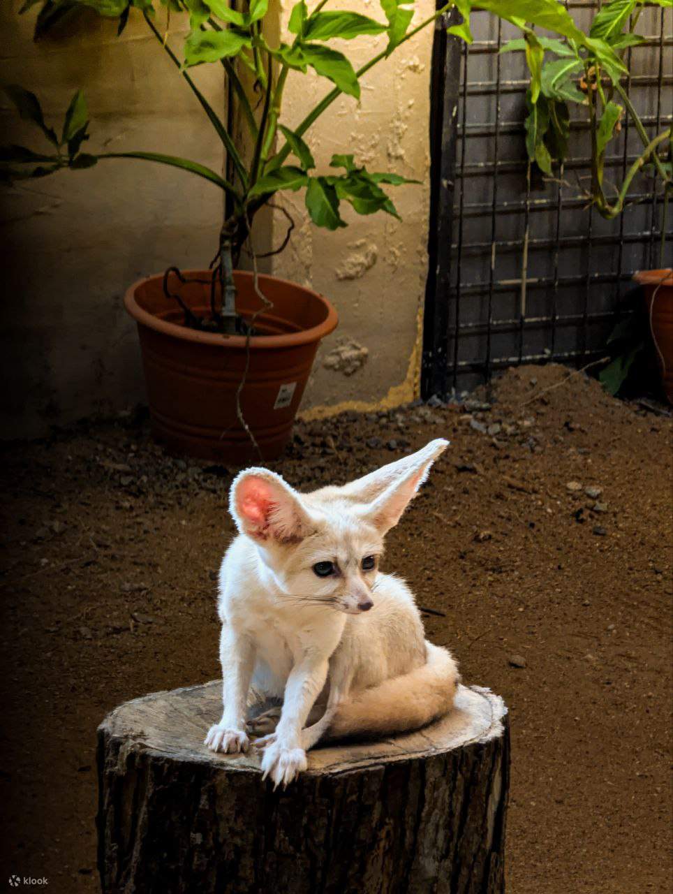 Langkawi Wildlife Park Ticket