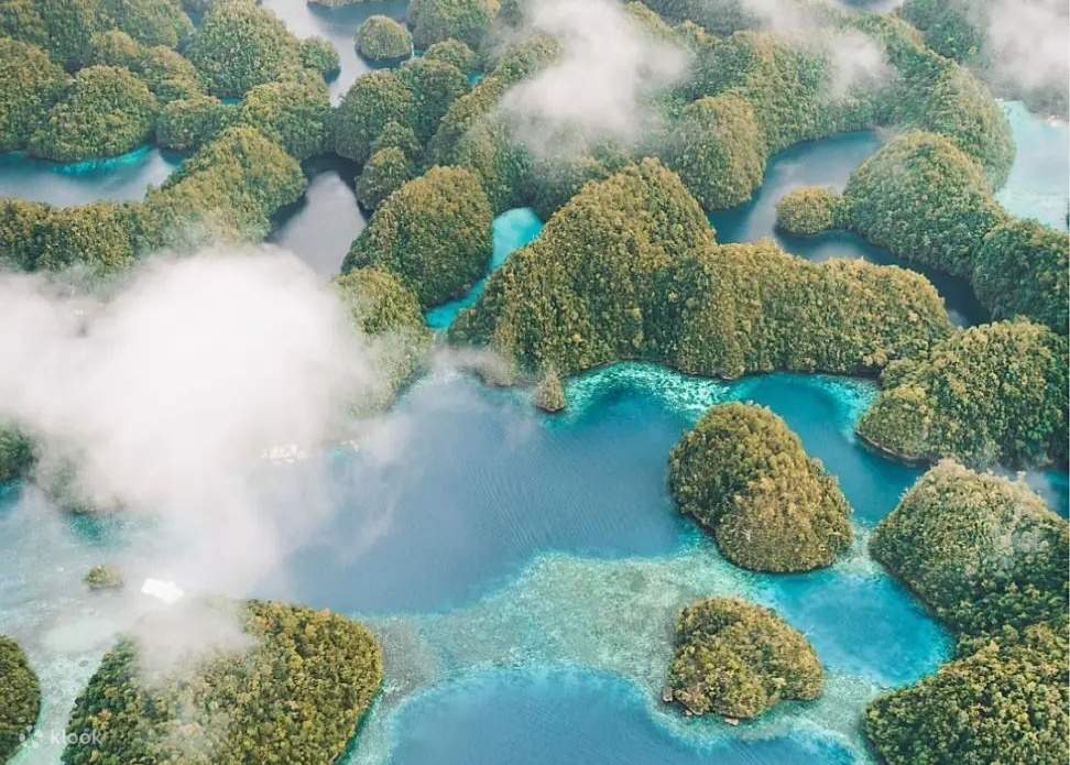 les meilleures choses à faire à surigao city, philippines: 7 raisons d'aller en solo | partez à la découverte de bucas grande