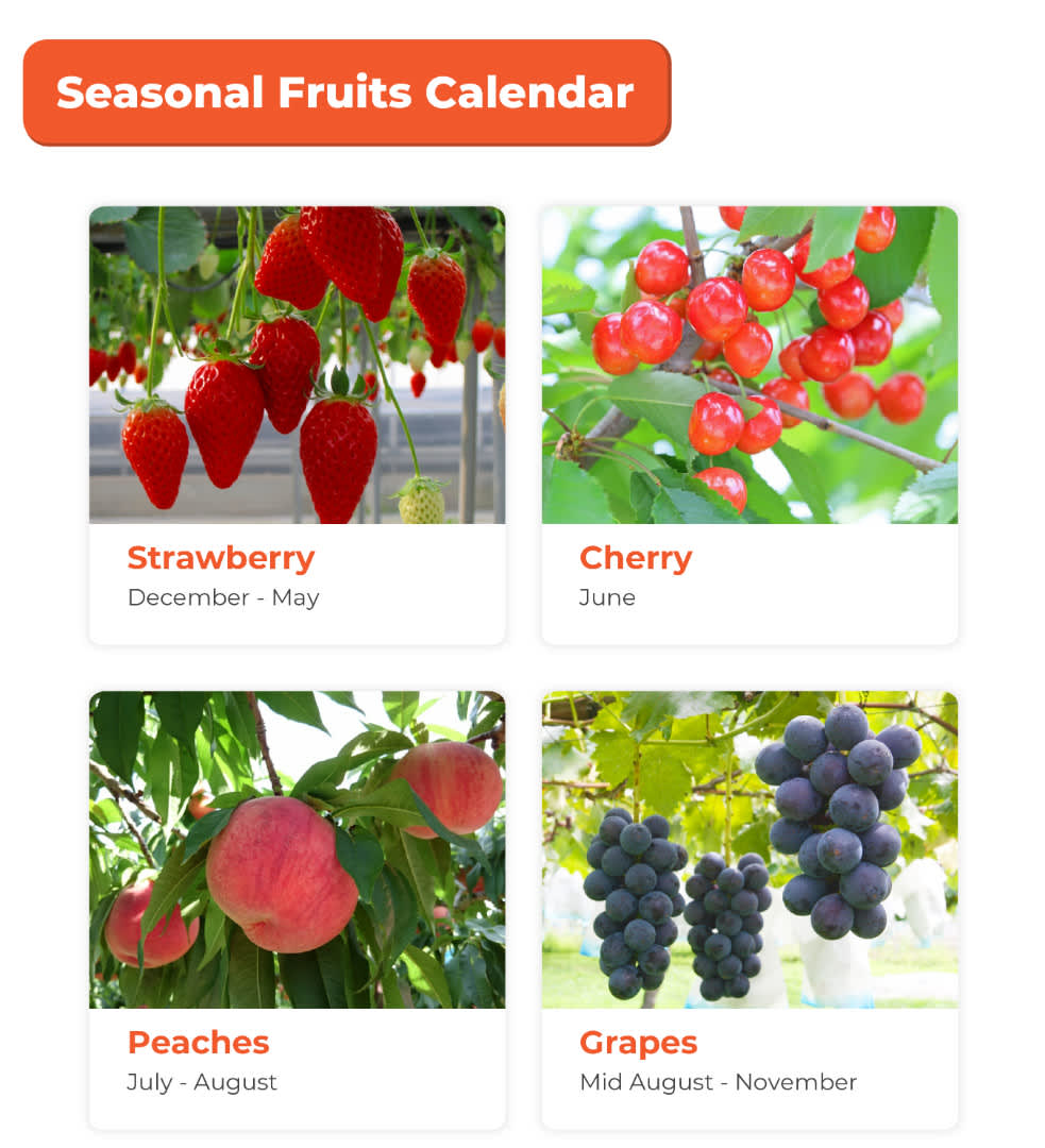 Mt. Fuji 5th Station and Mt. Kachi Kachi Ropeway Day Trip with AllYou