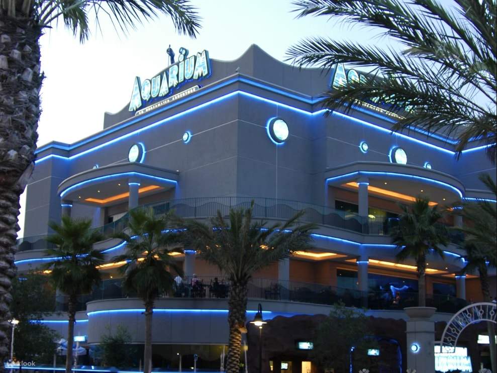 El encanto histórico se une a la diversión moderna en el emblemático Downtown Aquarium de Houston