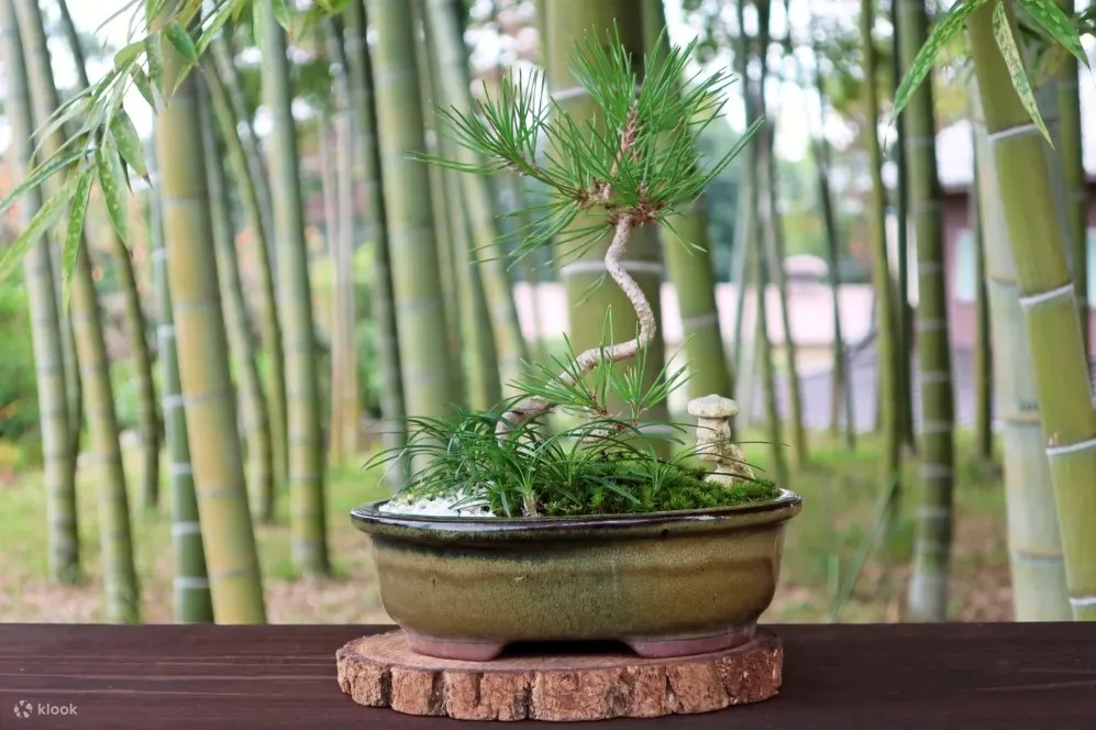 这里远离都市的喧嚣，您可以在宁静悠闲的环境中，深刻感受到浓厚的乡村气息和传统文化的魅力，仿佛穿越时光，享受一段心灵上的放松与回归。
