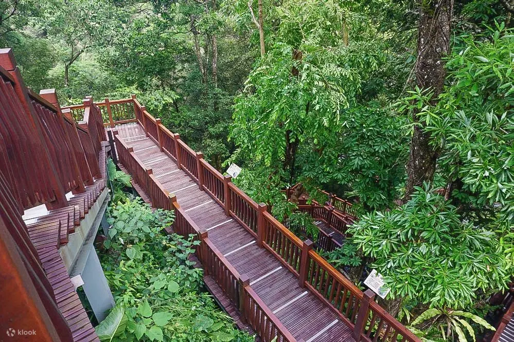 青蛙石天空步道