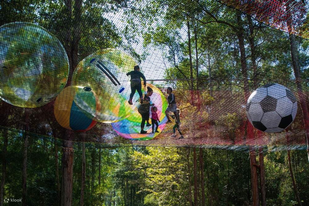 Exciting outdoor activity