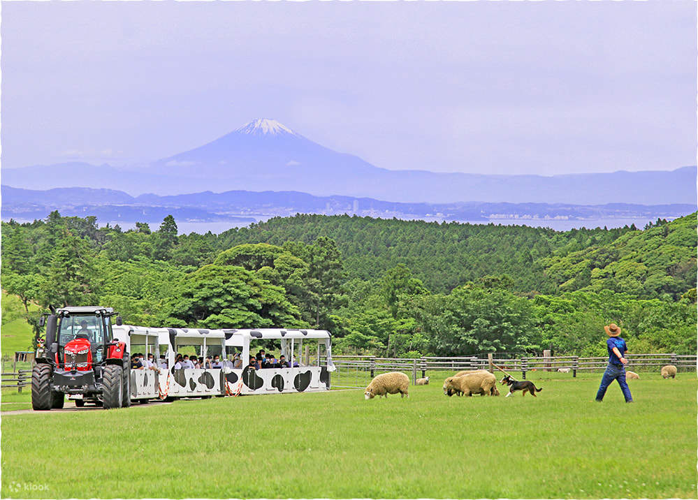 Chiba Mother Ranch & Mitsui OUTELT PARK Kisarazu Chartered One-Day Tour ...