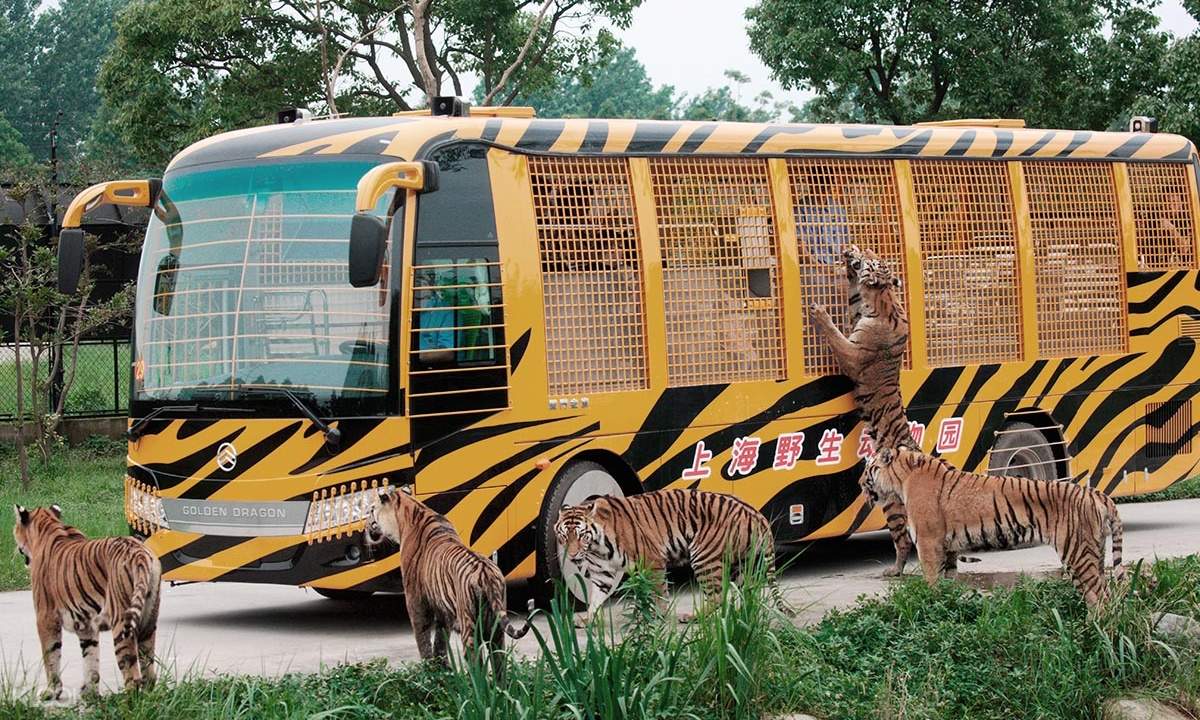 wild animal park shanghai Wild shanghai animal park