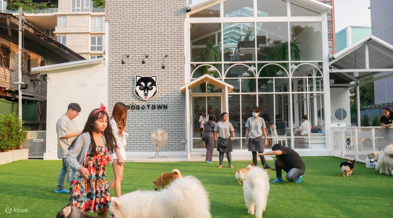 Entrance Fee with 1 Free Beverage at Dog In Town in Ekkamai and Ari