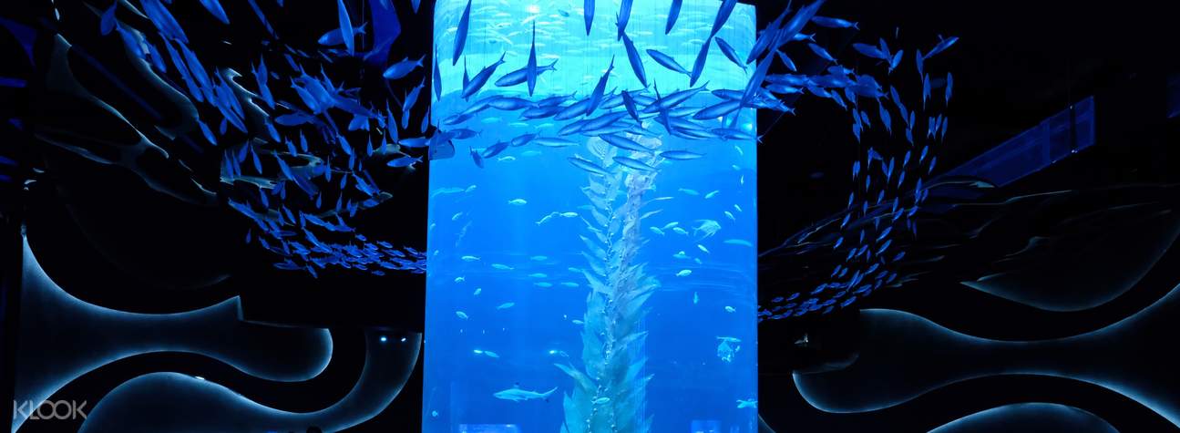 Jakarta Aquarium Ticket Neo Soho - Experience the Sea Explorer 5D