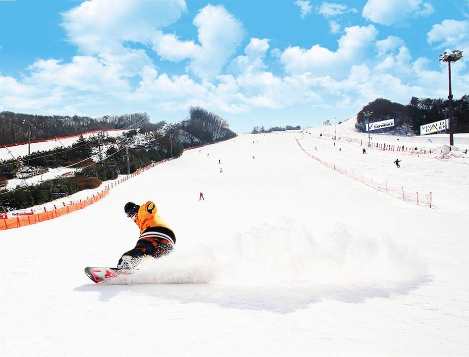 Vivaldi Park Ski World Day Tour From Seoul Klook Singapore