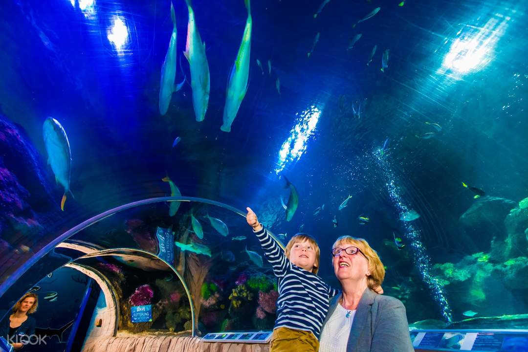 legoland malaysia sea life