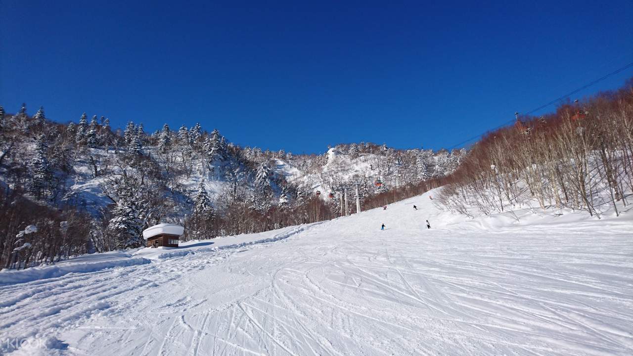 Hokkaido Ski Bus Roundtrip Ticket for Sapporo/Jozankei and Sapporo Kokusai Skiing Resort with