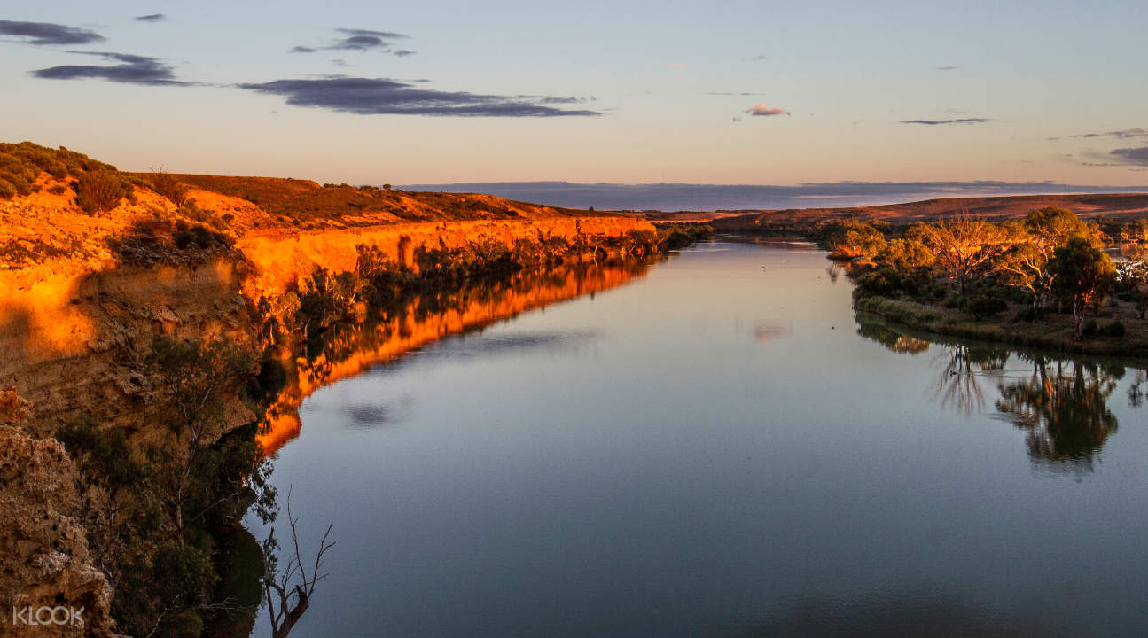 Murray River Highlights Day Tour from Adelaide - Klook Australia