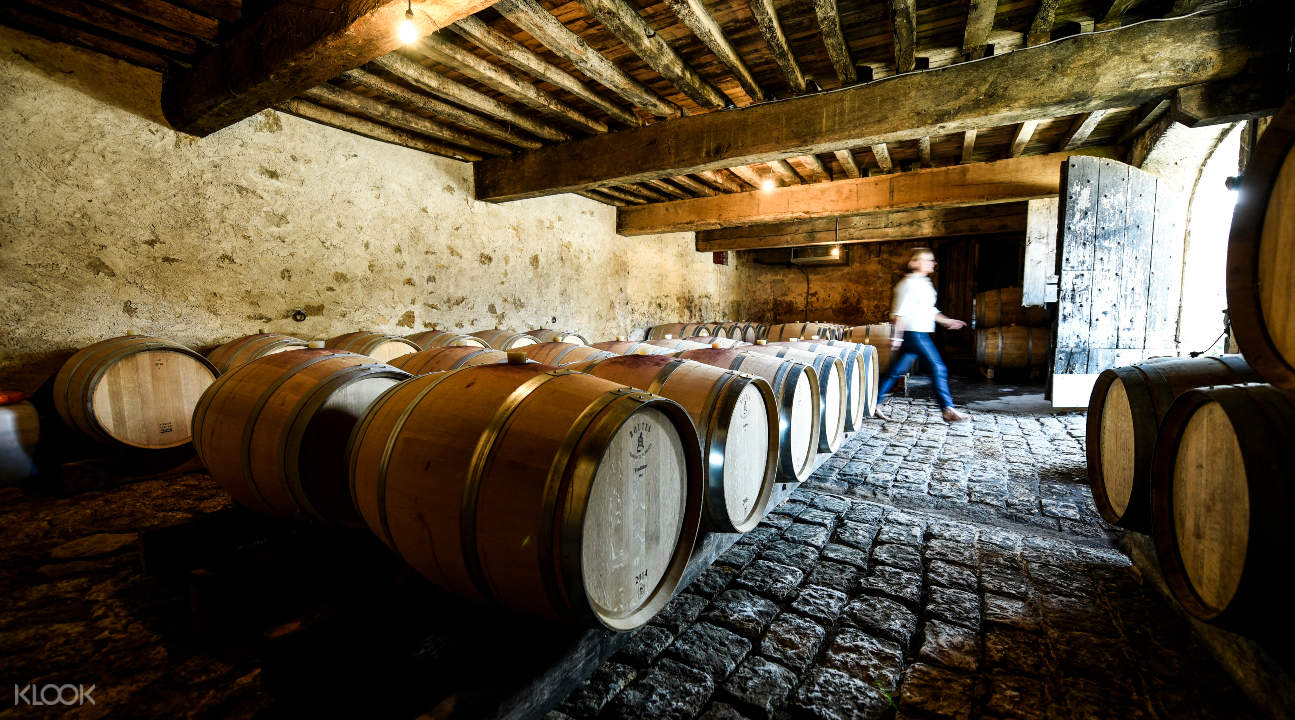 Bordeaux Winery Tour