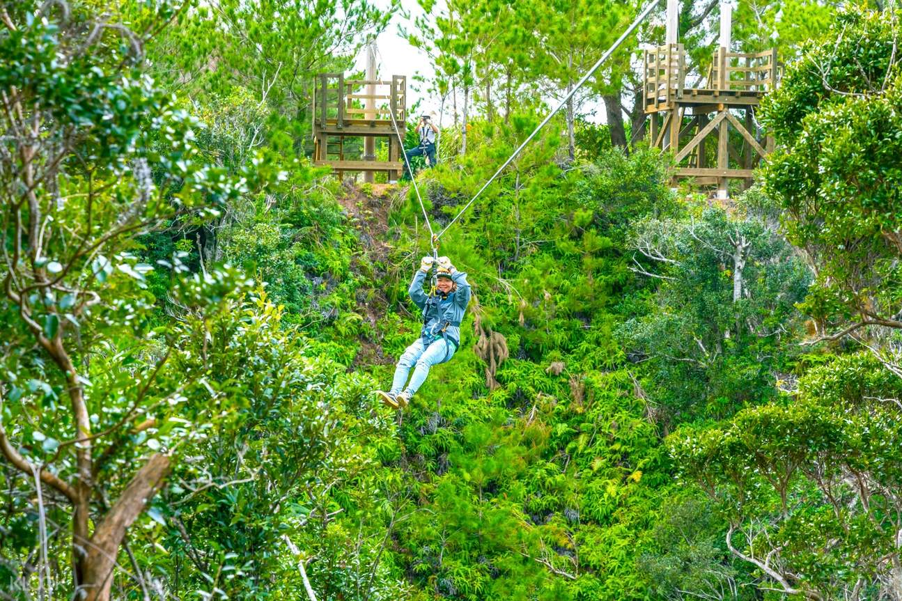 Matayoshi Coffee Farm Zipline Experience in Okinawa Klook US