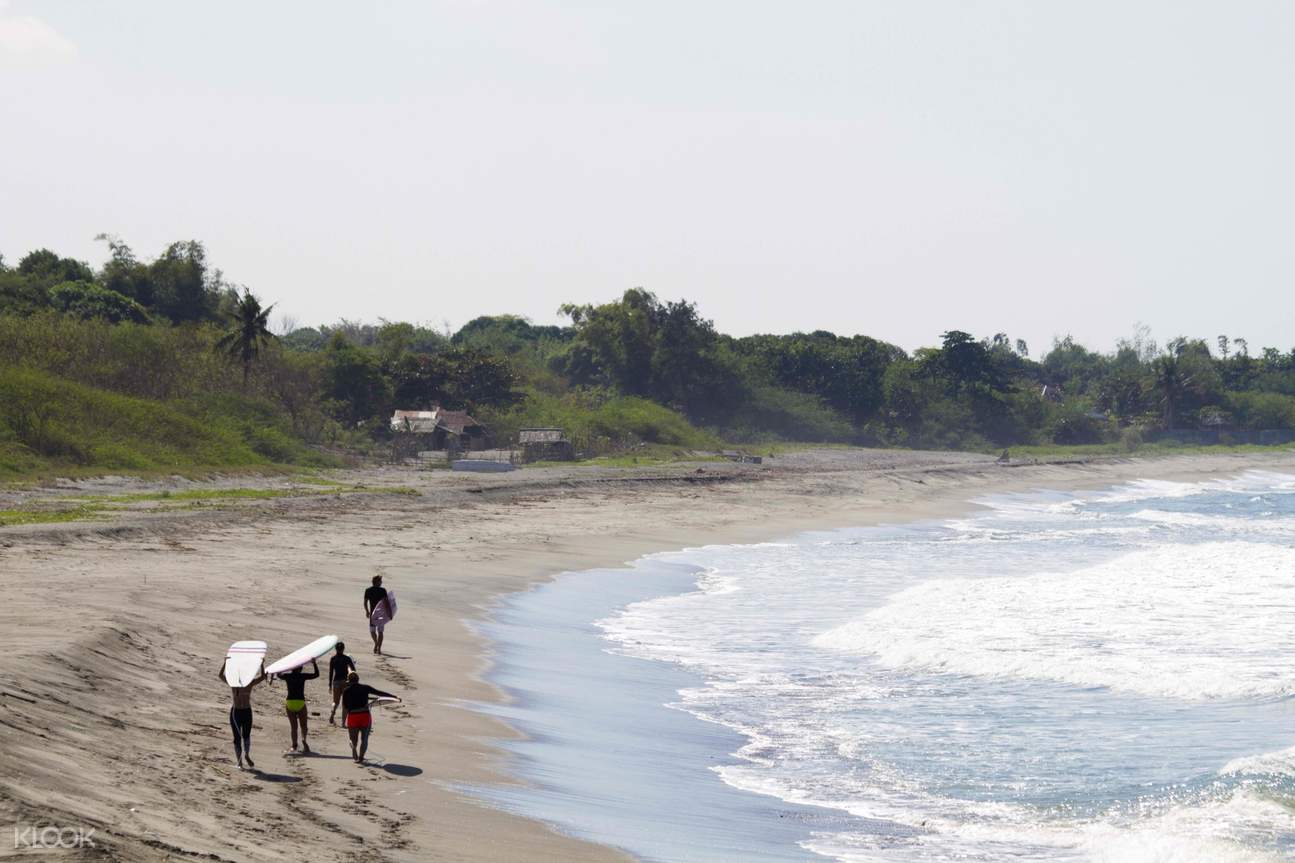 Surfing Lesson in La Union