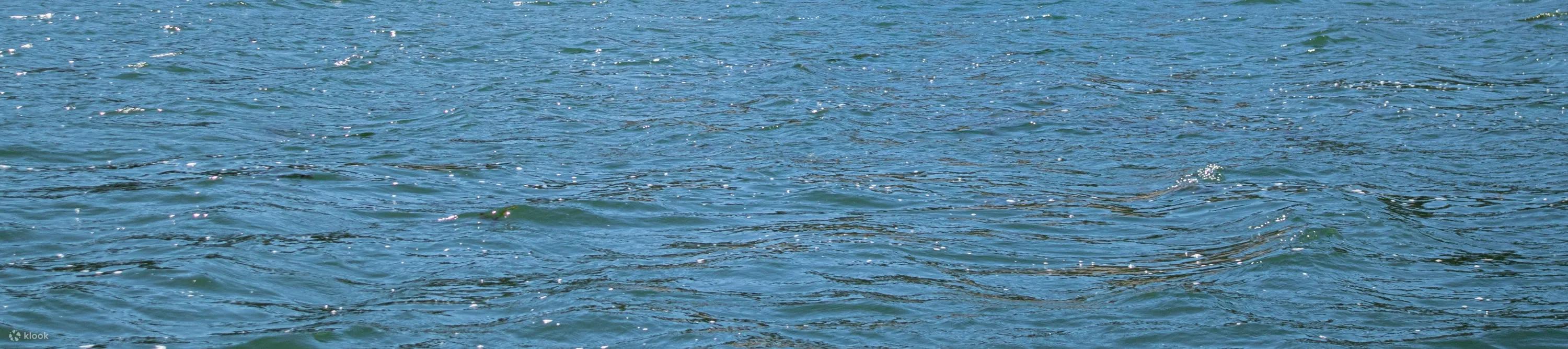 Orakei Korako