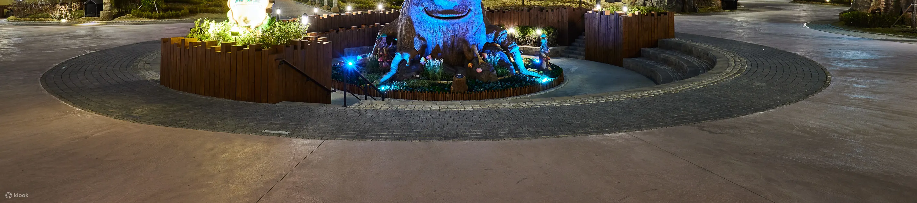 树的夜景