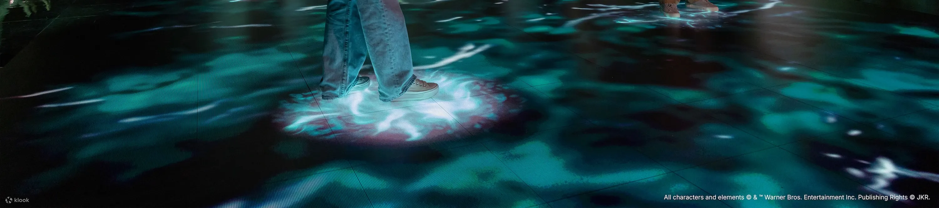 哈利波特：魔法幻象 (Harry Potter: Visions of Magic)