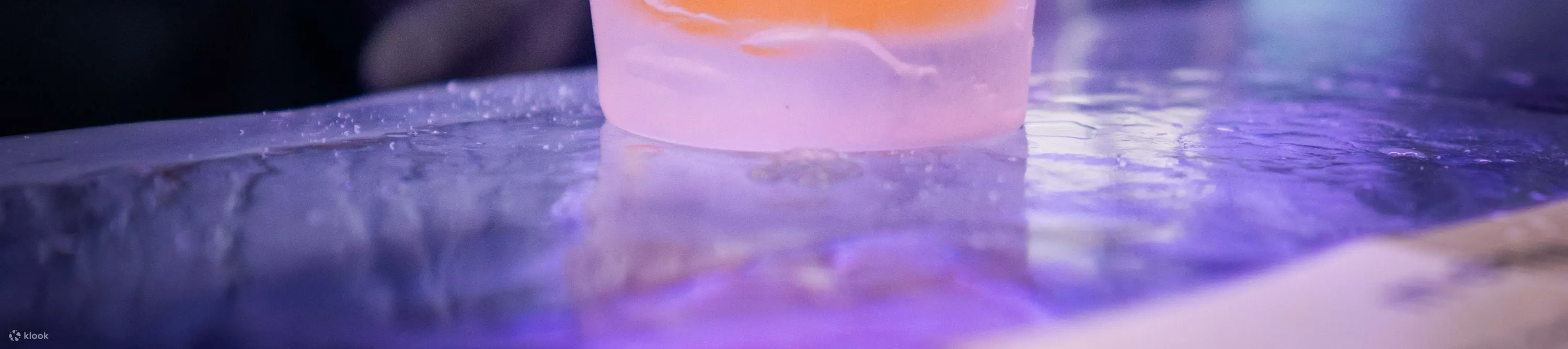 在 IceBar 享受用冰杯喝酒的独特体验