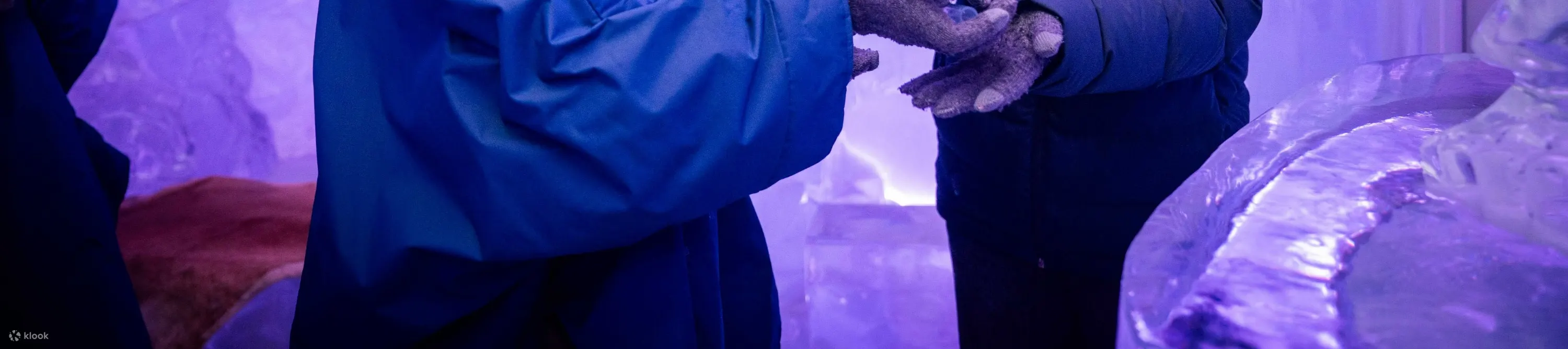 在冲浪者天堂 IceBar 享受令人毛骨悚然的冒险，这里适合所有年龄段
