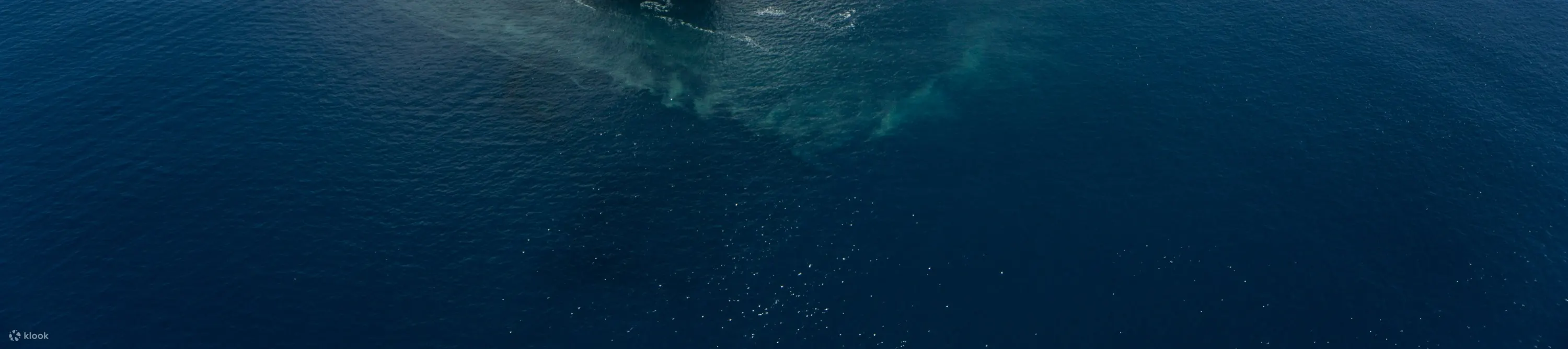White Island
