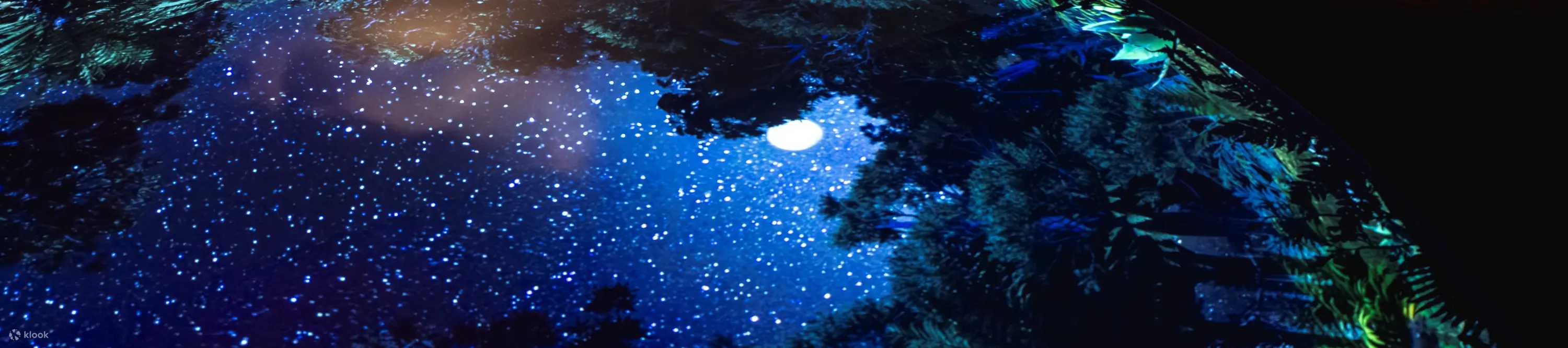 暗夜计划在特卡波的暗夜体验