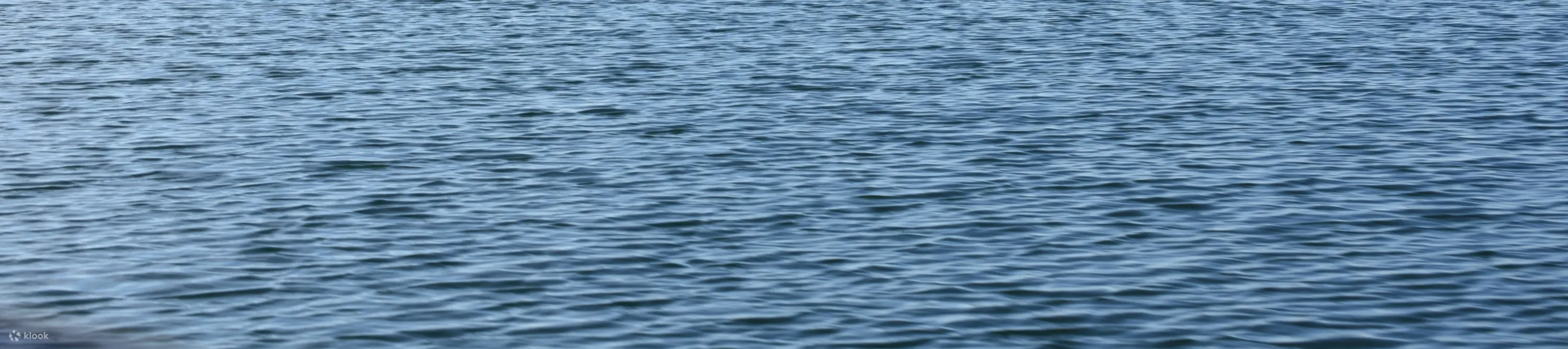 Lake Rotorua