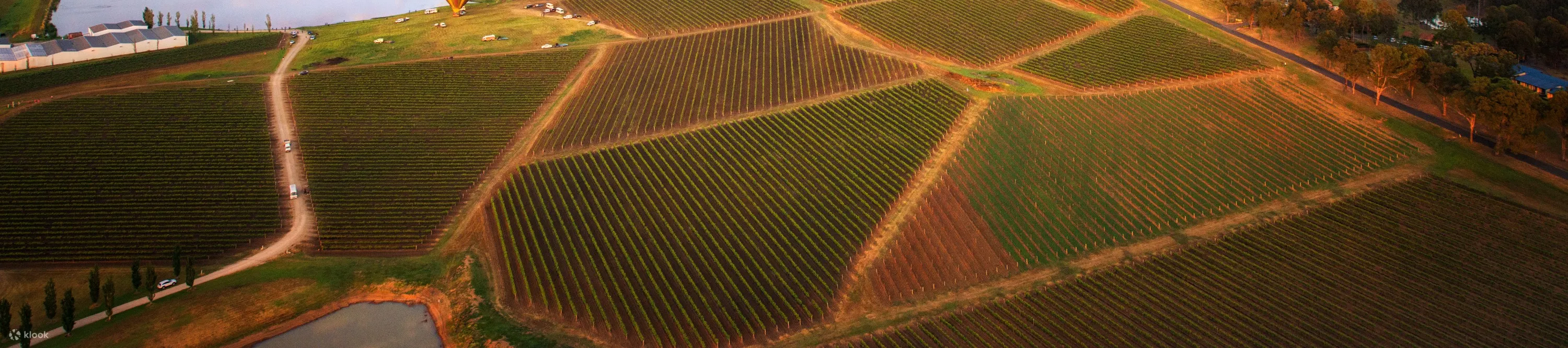 hot air balloon hunter valley