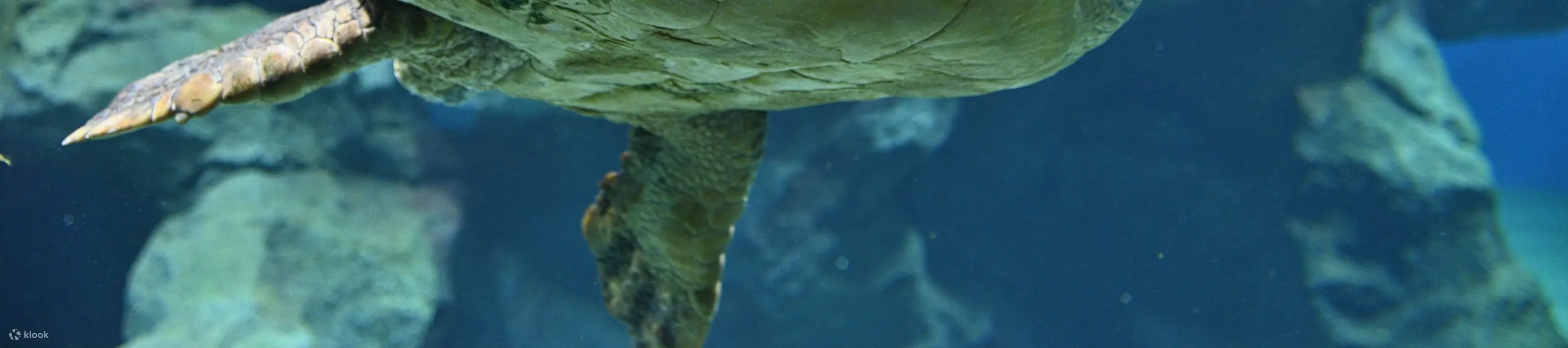 名古屋港水族馆