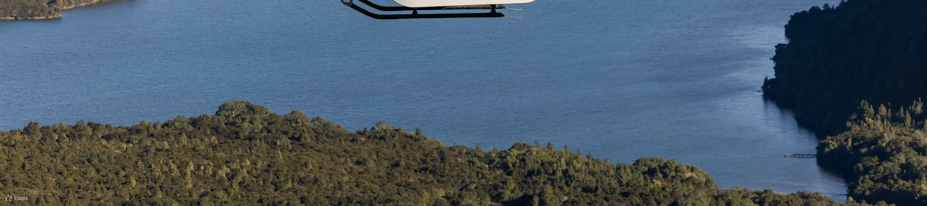 Squirrel Helicopter