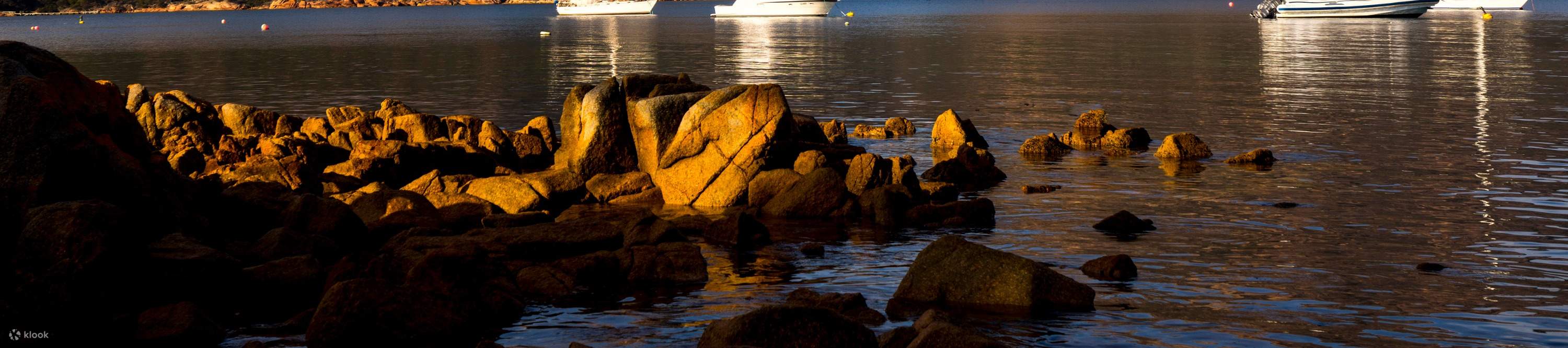 Iconic East Coast Day Tour from Hobart - Klook