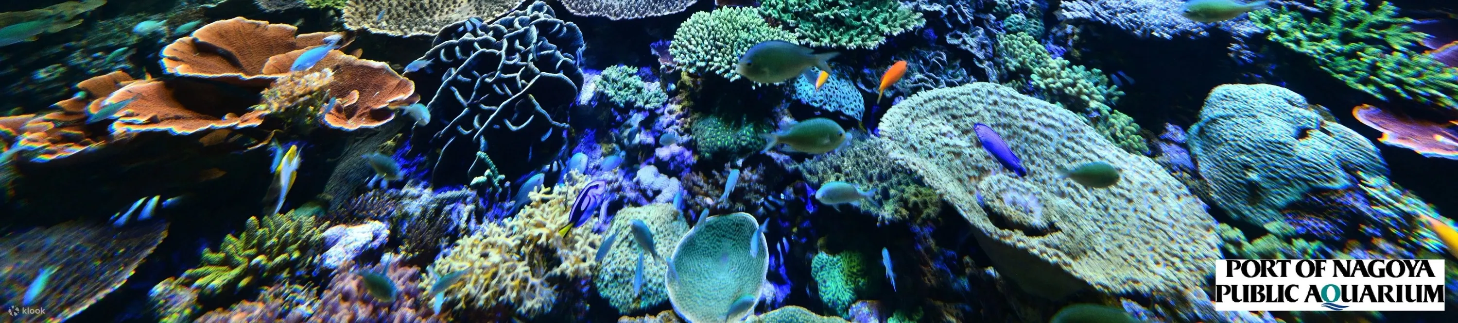 名古屋港水族馆