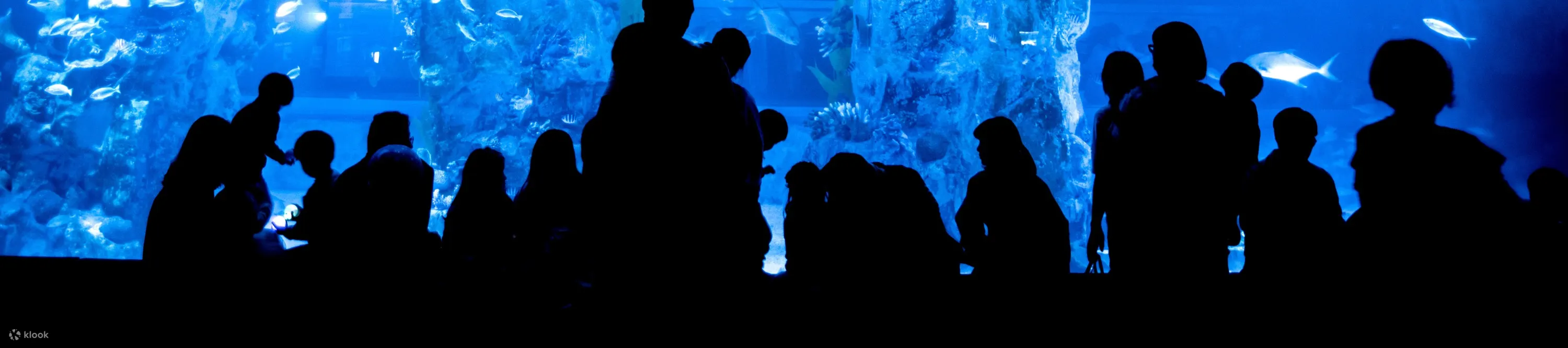 水族馆