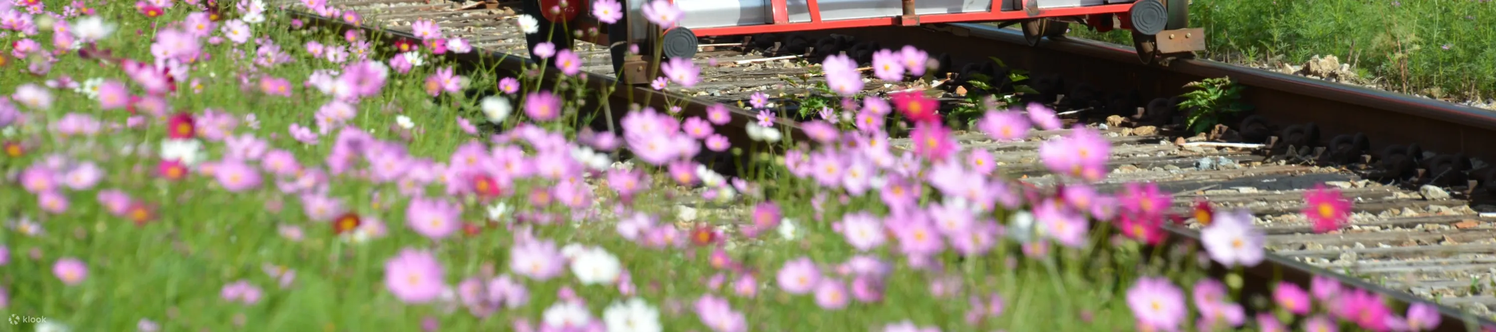 women riding a rail bike smiling