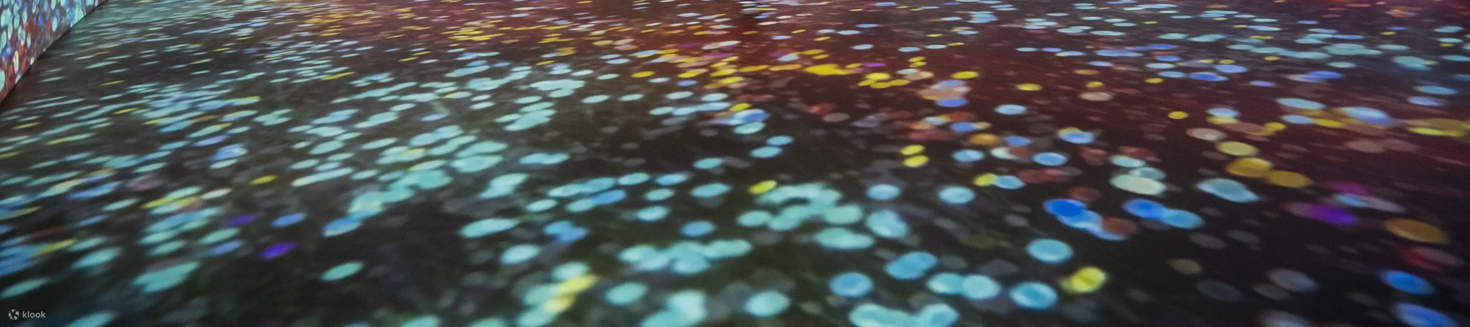 歌曲平台 - Song Lab Hue