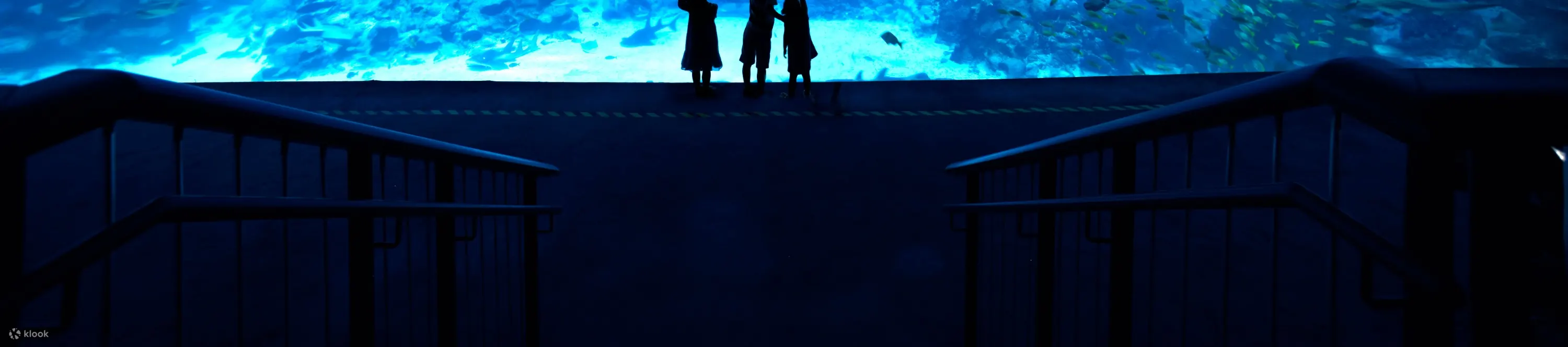S.E.A. 海洋馆 水族馆
