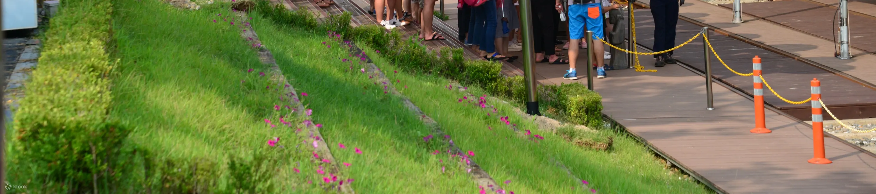 lining up for riding a rail bike