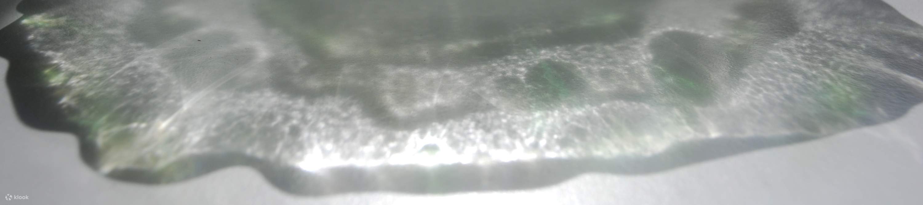 ガラス工芸体験・ボウル1点（東京）のオンライ予約 Klook