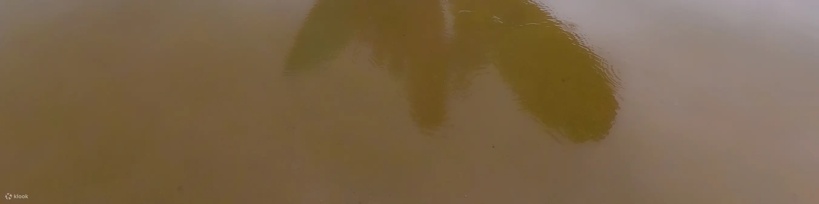 除了摄影之外，对我们来说最重要的是您的乐趣和幸福，作为带回家的美好回忆