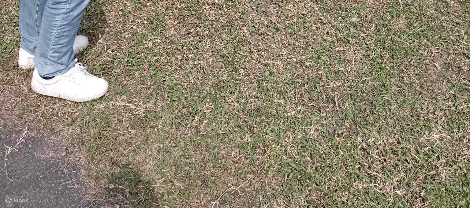 宜兰: 头城滨海森林公园骑马 (无敌海景漫步)