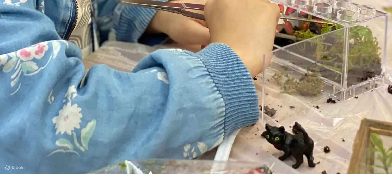 手作班房 - 微景观植物生态工作坊 Mini Terrarium Workshop｜铜锣湾