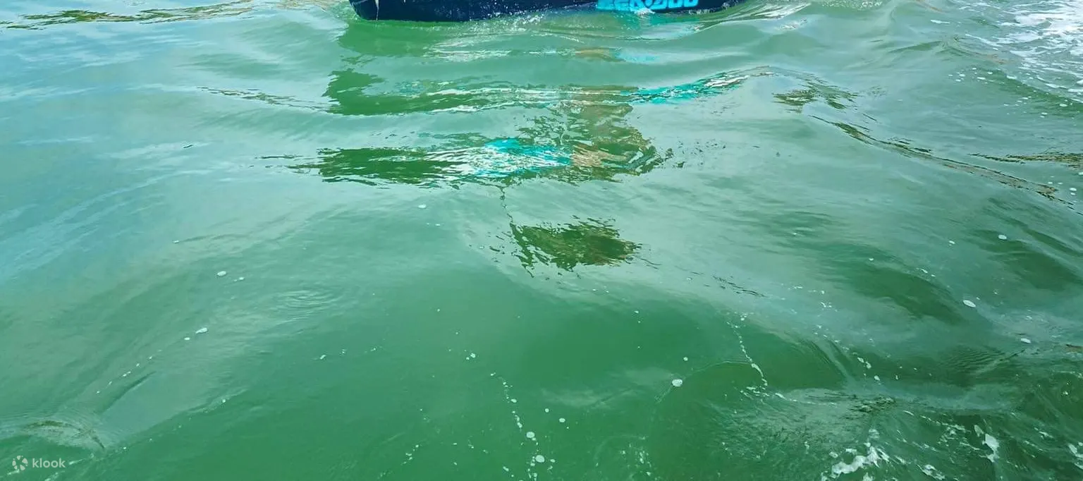 乘坐摩托艇欣赏美景