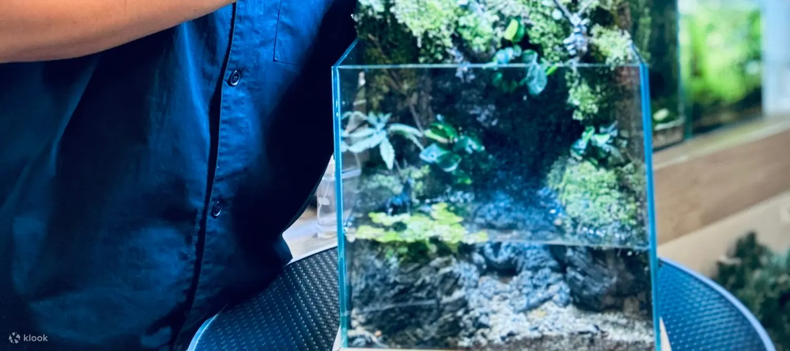 逃离大自然