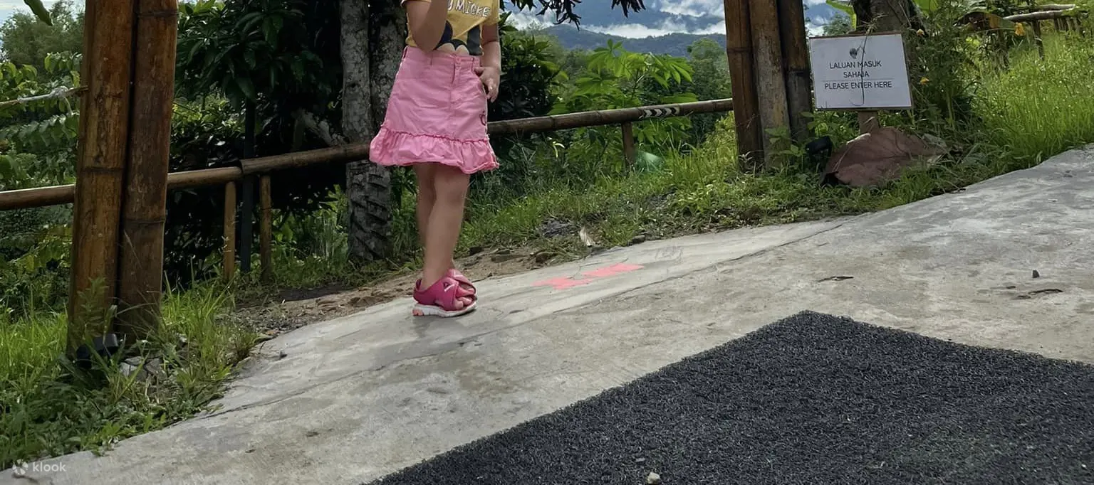 侏罗纪大陆九鲁