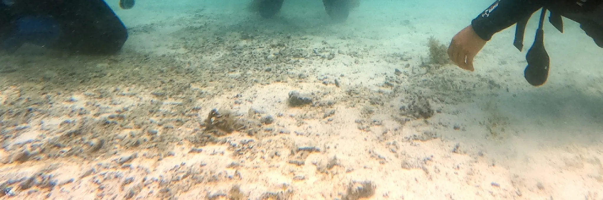 开放水域潜水员