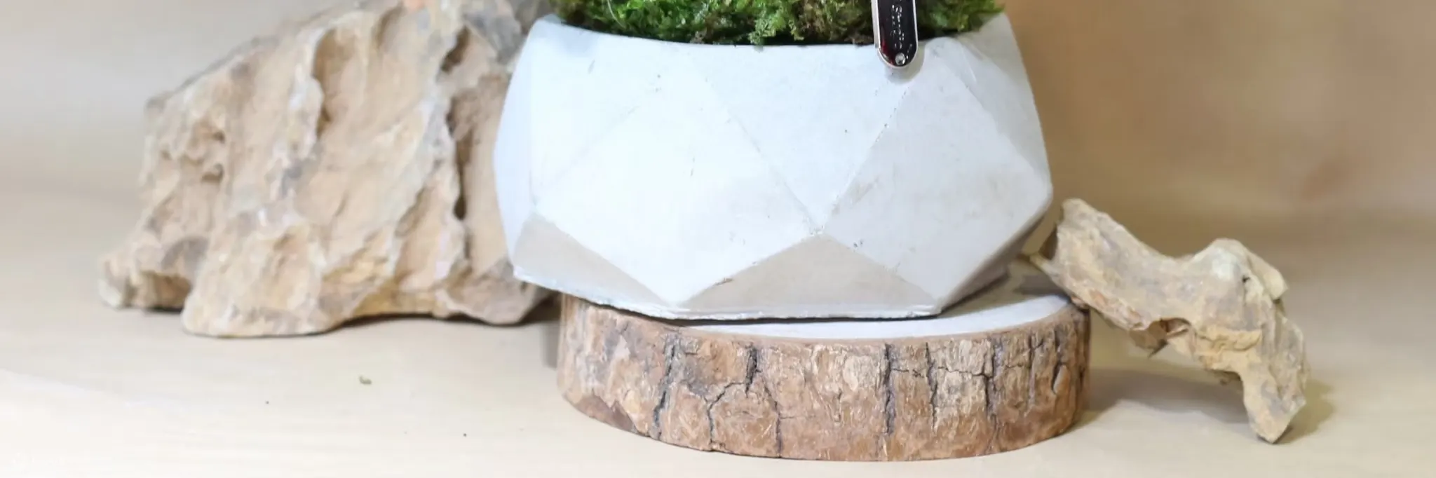屏东: 绿植星球DIY手工体验 (植物生态瓶 / 永续循环)