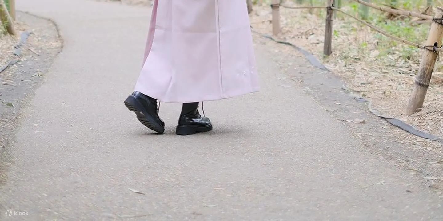 岚山竹林