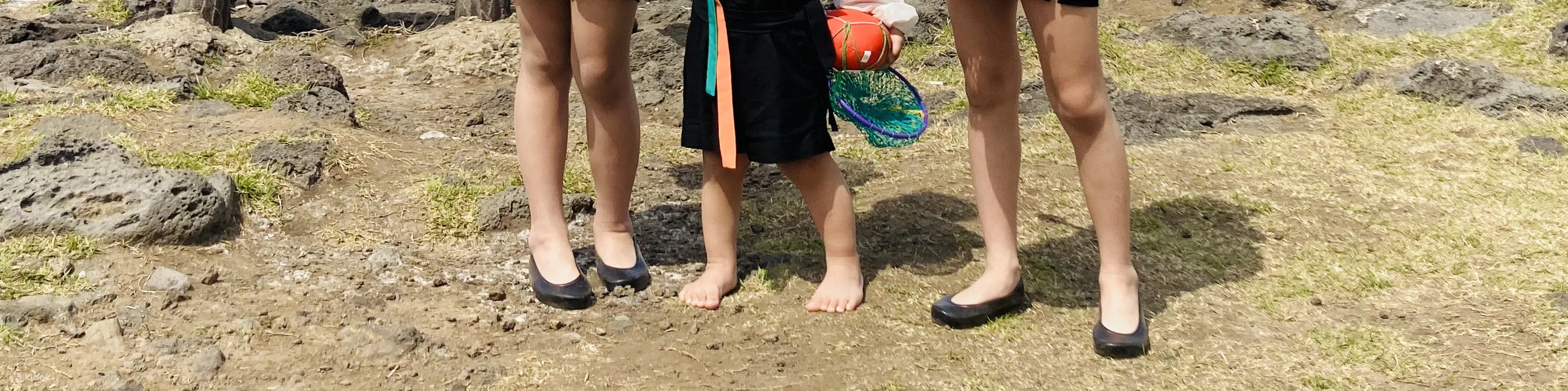 济州岛